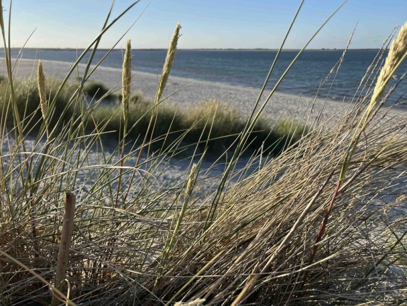 Komm nach Sylt! MasterCoach-Weiterbildung - mit Tiefgang und Humor